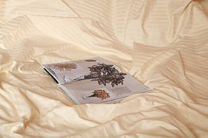 Семейное постельное белье страйп-сатин Luxury персиковое