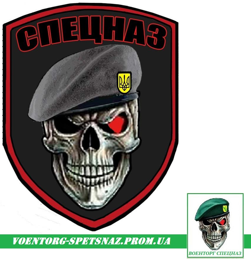 Шеврон військовий Спецназ череп у сірому береті ССО (morale patch)