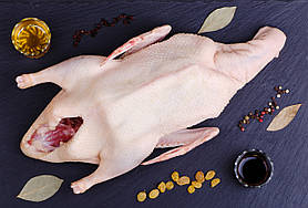 Качка заморожена (Мулард)