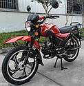 Мопед VIPER ALPHA RX, фото 6