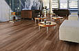 Classen Discovery Argenta Chocolate Oak Oak ламінат, фото 4