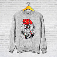 Жіночий світшот з оригінальним принтом Push IT Собака-фотограф "For the special moments..." XS, Сірий