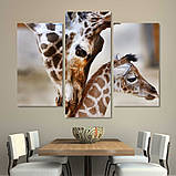 Модульна картина IDEAPRINT "Жирафи", фото 3