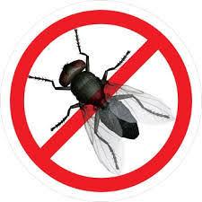 Засіб від мух Fly Repellent Granules Відлякувач 1/100. Концентрат, спрей 100 мл (1 г)