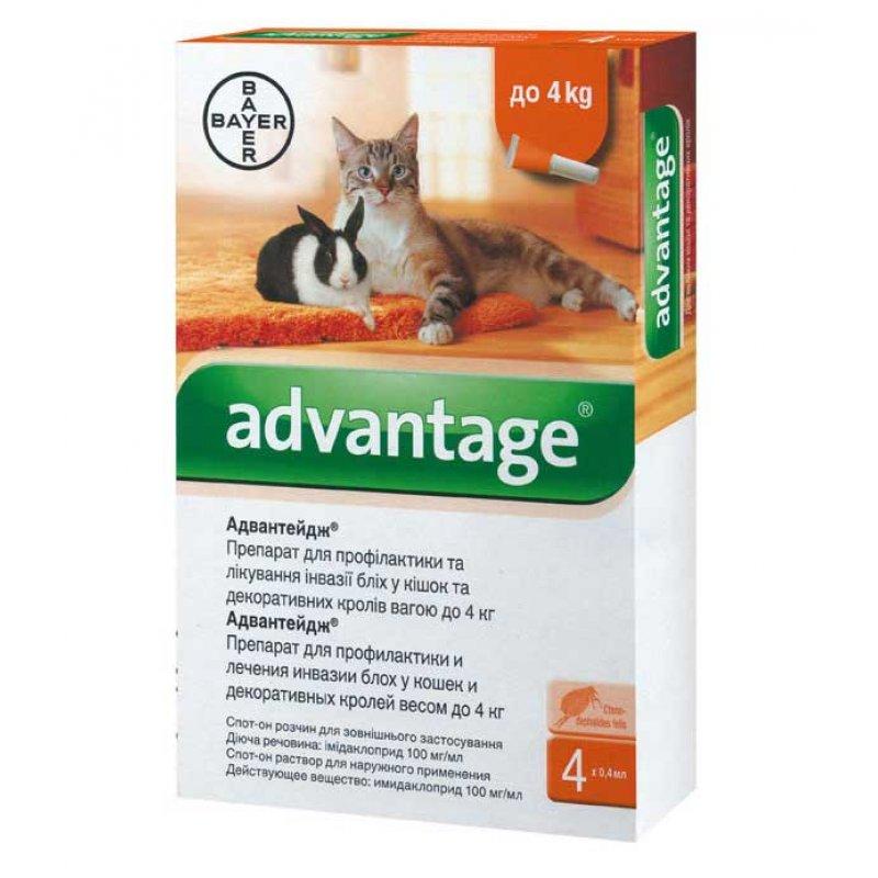Краплі Bayer Advantage Адвантейдж 40 від зараження блохами для котів і кошенят до 4 кг (4 піпетки*0.4 мл)