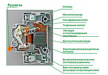 Автоматичний вимикач 11212 ВА63 1Р+N 10А, фото 2