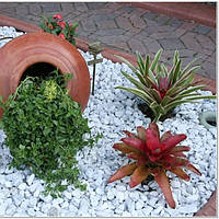 Белая мраморная галька 10 - 30 мм