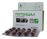 Потенціал для чоловіків ефективний фітопродукт 60 капсул Еліксир, фото 2
