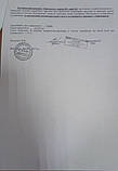 Бджолосил 20гр. (стимулятор). Україна, фото 4