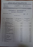 Бджолосил 20гр. (стимулятор). Україна, фото 3