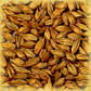 Солод пшеничний Wheat Malt Pale (Weizenmalz Hell) 1кг, фото 2