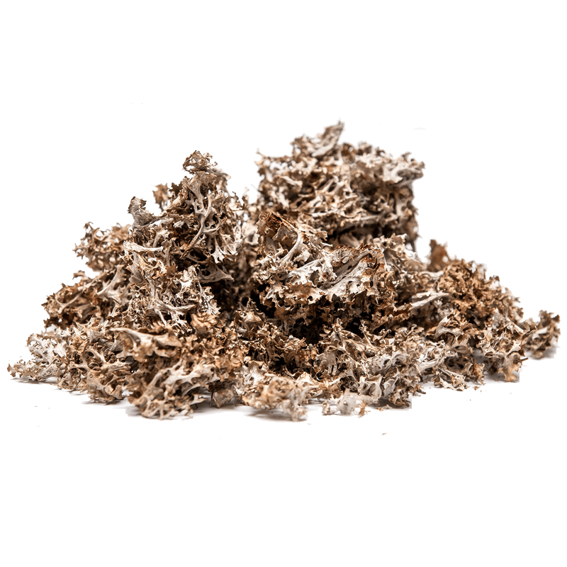 Ірландський мох 5 г, фото 1