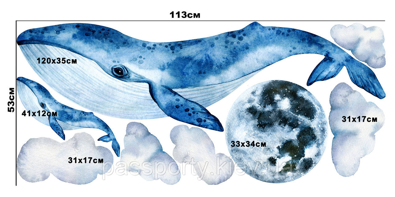 Вінілові наклейки на стіну Кит