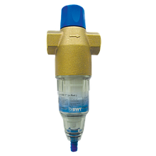 Фільтр зі зворотним промиванням для холодної води BWT Protector BW 1"