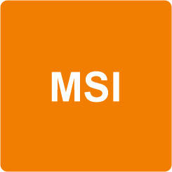 Дочірні (додаткові) плати ноутбуків MSI