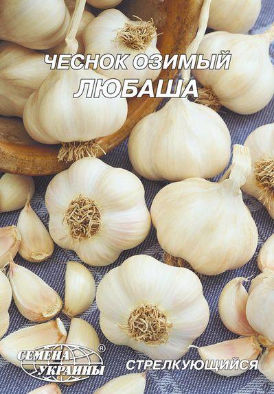 Часник озимий Любоваша 10 г (ТМ Насіння України)