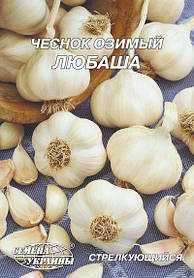 Часник озимий Любаша 10 г (ТМ Насіння України)