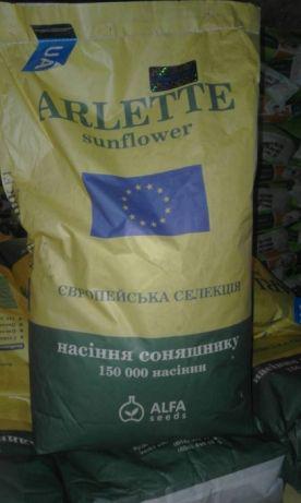 Соняшник Арлет Преміум, Під Евролайтинг