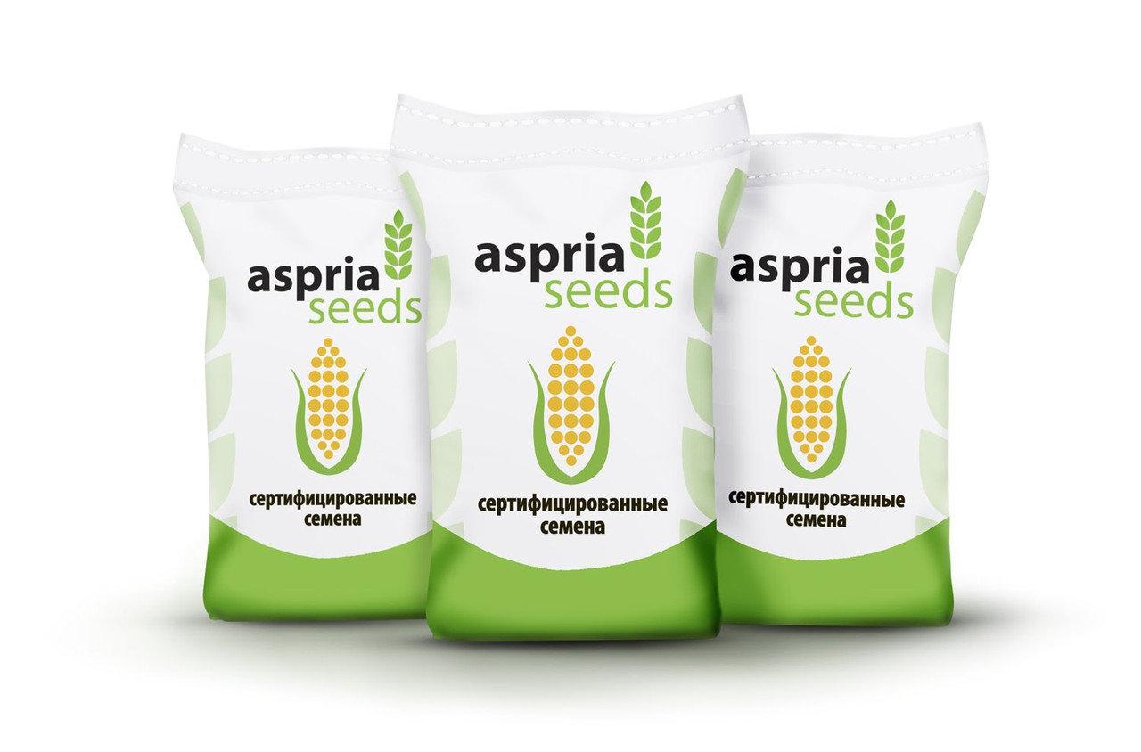 Насіння соняшника Aspria Seeds AC34111