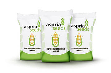 Насіння кукурудзи Aspria Seeds AC33003