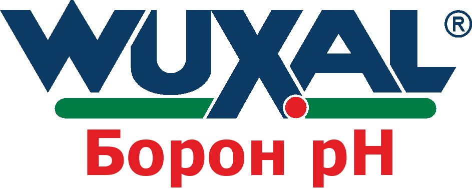 Добриво Вуксал суспензія Борін рН, 10л