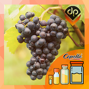 Ароматизатор Capella Concord Grape with Stevia| Виноград і стевія