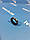 Сальник КПП DAF MAN IVECO RENAULT VOLVO 2961558 81965100002 550240260 6876347 0634307367 25x35x7/10 мм, фото 5