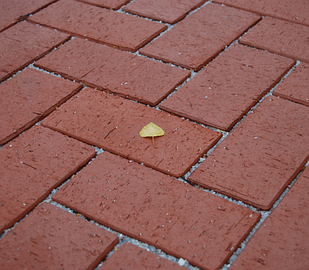 Бруккерам Рубін