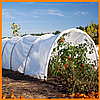 Парник 10 м 60 щільність теплиці з агроволокна Shadow( парник для огірків), фото 2