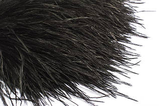 Пір'я страуса на стрічці 10-15 см, пір'яна тасьма з натурального пір'я чорного кольору 0,5 м.