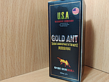 Gold ant золотий мураха, фото 9