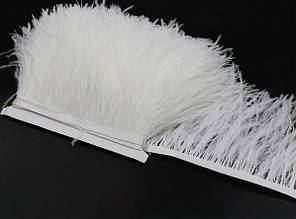 Пір'яна тасьма з натурального пір'я молочного кольору. Пір'я страуса на стрічці 10-15 см, Ціна за 0,5 м.