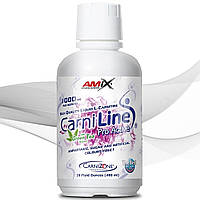 Amix Nutrition CarniLine® ProFitness 40 g 480 ml