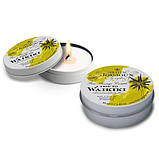 Масажна свічка Petits Joujoux - Waikiki Beach - Coconut and Pineapple (43 мл), фото 3