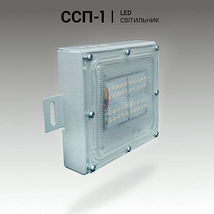 Світильник світлодіодний для РКХ 6 Вт, 220 V, антивандальний, ССП-1, фото 2