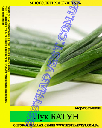 Насіння цибулі «Батун» 0.5 кг, фото 1