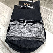 Шкарпетки чоловічі демісезонні бавовна Житомир СН, 25-27 розмір, смужка асорті, 02004, фото 2