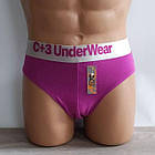 Труси чоловічі плавками стрейч бавовна Блискавка. Польща. C+3, фото 9