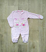 Комбінезон для новонародженних велюр на кнопках із вишивкою 56,62,68 см 18(62), Велюр