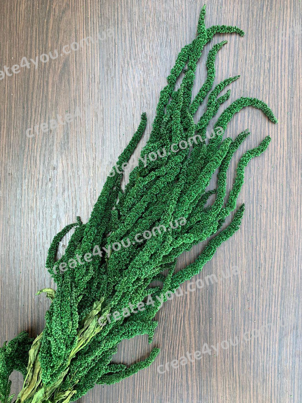 Стабілізований Амарант темно-зелений. Пучок (Букет) 40-70 см