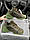 Жіночі кросівки D!or D-connect Green Khaki  Люкс, фото 3