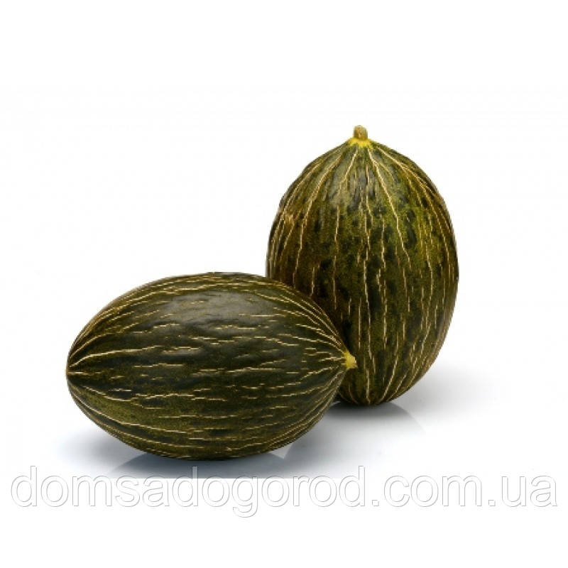 Диня МЕСУРА F1 | MESURA F1 Rijk Zwaan 100 насінин