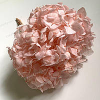 Стабілізована рожева Гортензія. Букет (пучок)