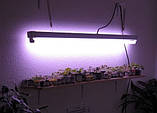 Люмінесцентна лампа OSRAM 18W FLOURA, фото 2