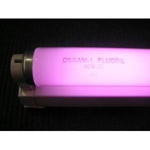 Люмінесцентна лампа OSRAM 36W FLOURA
