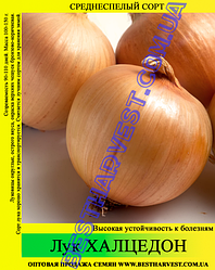 Насіння цибулі «Халцедон» 0.5 кг