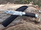 Ніж мисливський вовк у красивій подарунковій коробці H50 С, фото 7