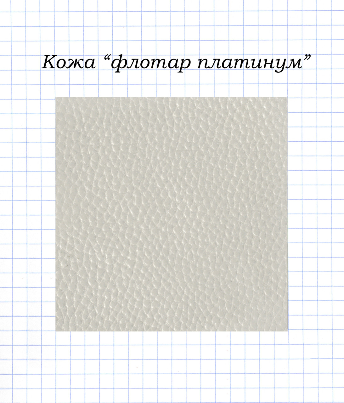 Шкіра "флотар платинум"