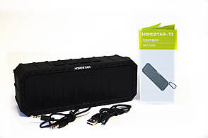 Колонка Hopestar T3