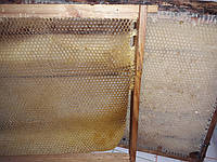 Сушь (рамка Дадан 435х300) отстроенная желтая ячейка
